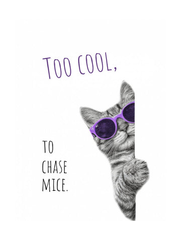 Too Cool Cat | Poster - Passepartout