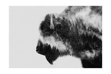 Forest Bison Spirit | Poster - Passepartout