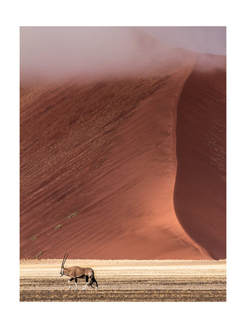 Misty Red Desert Oryx | Poster - Passepartout