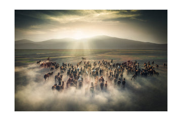 Wild Horses in Dust | Poster - Passepartout