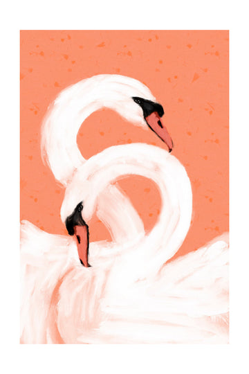 Graceful Swans | Poster - Passepartout