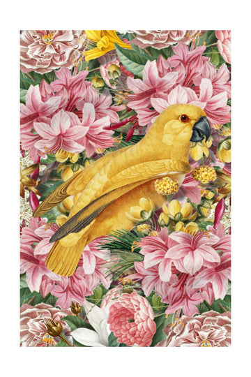 Yellow Parrot Tropical Flowers | Poster - Passepartout
