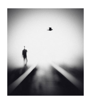 Solitary Man Flying Bird | Poster - Passepartout