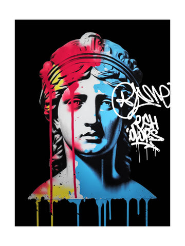 Vandal Nemesis | Poster - Passepartout