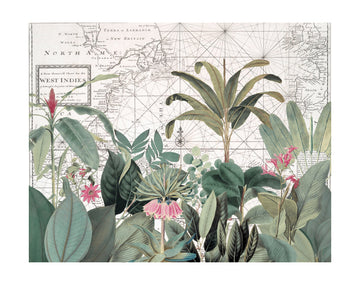 Vintage Map Botanicals | Poster - Passepartout
