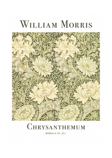 Chrysanthemum | Poster - Passepartout