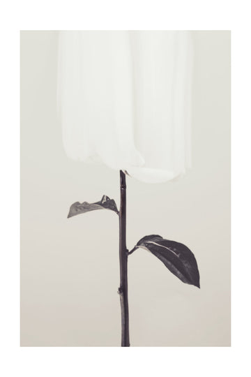 Ethereal Fabric Flower | Poster - Passepartout