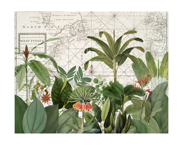 Tropical Map Explorations | Poster - Passepartout