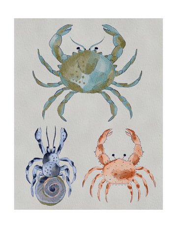 Ocean Crabs Watercolor | Poster - Passepartout