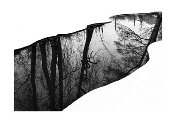 Winter Tree Reflection | Poster - Passepartout