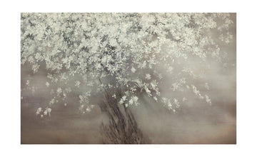 Stars of spring | Poster - Passepartout