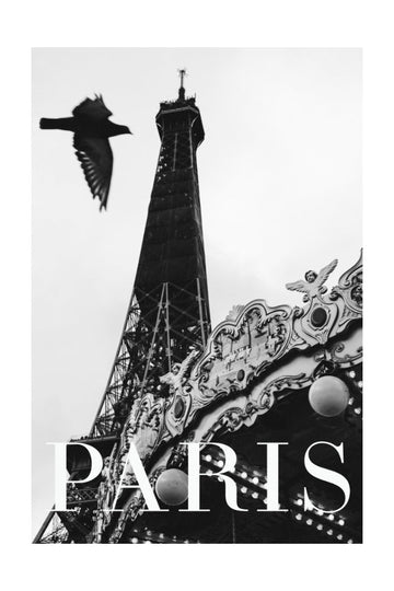 Paris Dove | Poster - Passepartout