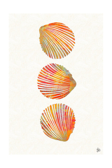 Vibrant Seashells | Poster - Passepartout