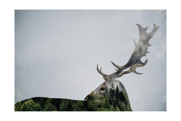 Forest Deer Spirit | Poster - Passepartout