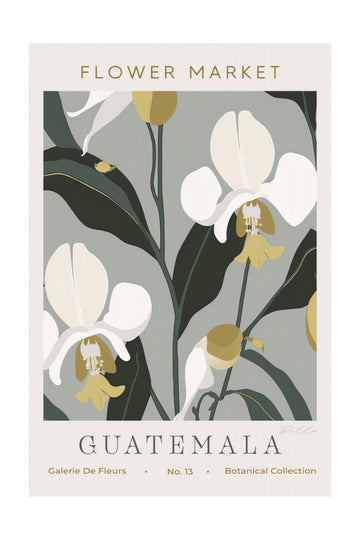 Tropical Guatemala Orchids | Poster - Passepartout