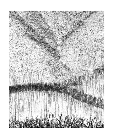 Tranquil Reed Reflections | Poster - Passepartout
