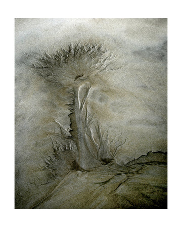 Flow pattern | Poster - Passepartout