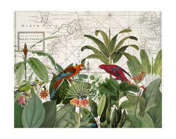 Tropical Map Exploration | Poster - Passepartout