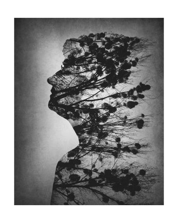 Mind of Nature | Poster - Passepartout