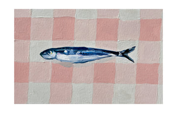 Pink Checkered Sardine | Poster - Passepartout