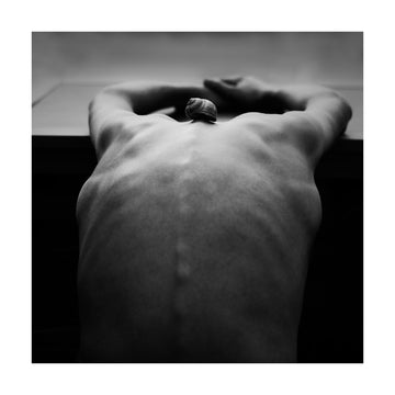 Snail on Human Back | Poster - Passepartout