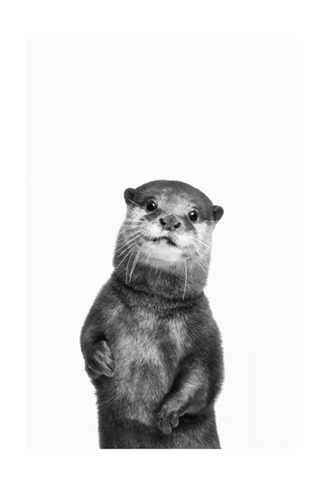 Otter | Poster - Passepartout