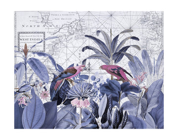 Pink Parrots Tropical Map | Poster - Passepartout