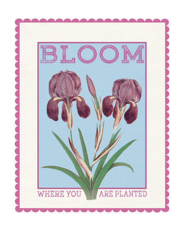 Purple Irises Bloom Quote | Poster - Passepartout