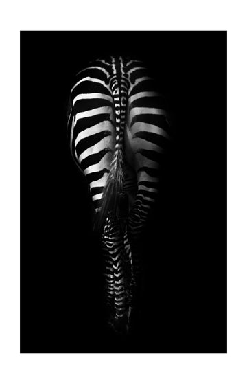 Dark Zebra Stripes | Poster - Passepartout