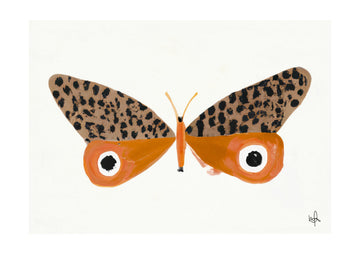 Orange Leopard Butterfly | Poster - Passepartout