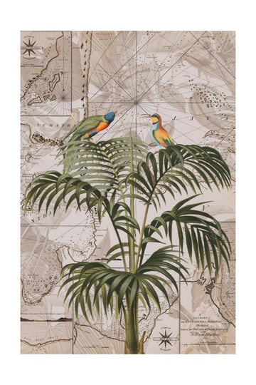 Tropical Birds Vintage Map | Poster - Passepartout