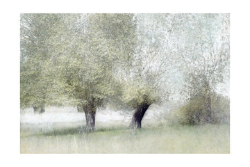 Young green | Poster - Passepartout