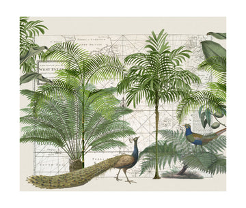 Tropical Map Wildlife | Poster - Passepartout