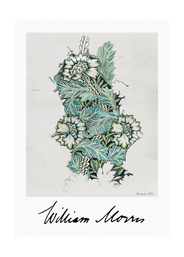 Anemone | Poster - Passepartout