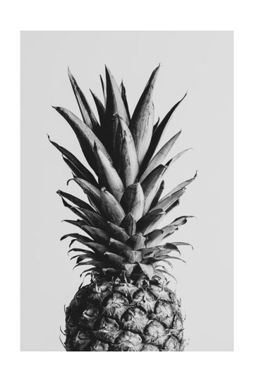 Black and White Pineapple | Poster - Passepartout