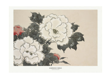 Flowers From Momoyogusa | Poster - Passepartout
