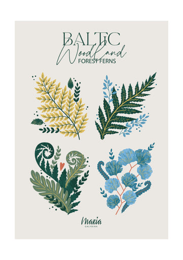 Baltic Woodland Ferns | Poster - Passepartout