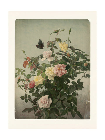 Roses | Poster - Passepartout