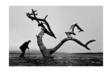 Old Man Lone Tree | Poster - Passepartout